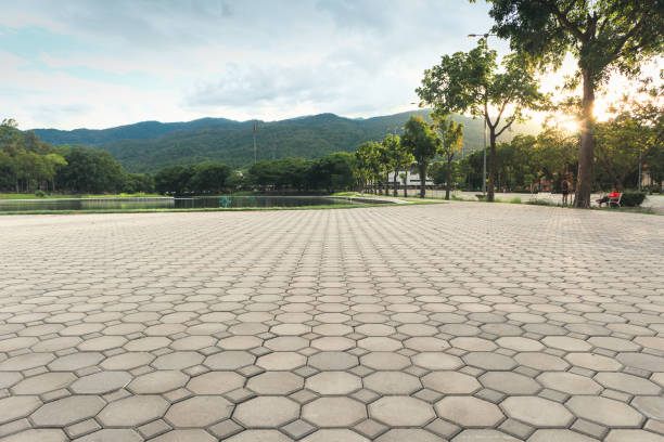 Best Professional Driveway Pavers  in Freedom, CA